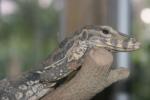 Common water monitor