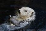 Oceanario Lisboa