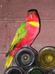 Yellow-bibbed lory