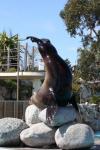 Steller sea-lion